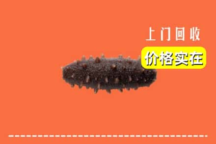 收购资讯:庆元县回收海参
